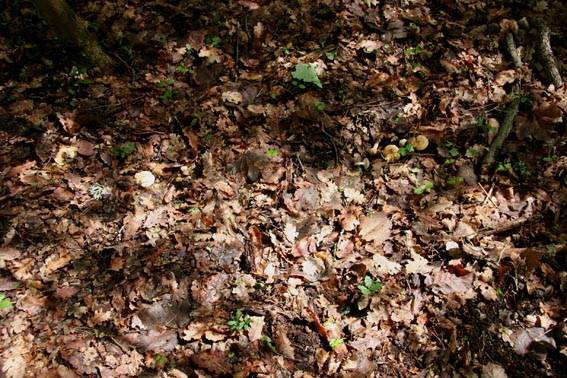 Escursione del 03-05-2007